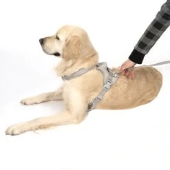 Arnés TIAKI Neoprene Gris Para Perros -Artículos Mascotas Tienda 323033 neoprene geschirr l fg 1703 5