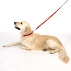 Correa Ajustable TIAKI Reflective Rubber Roja Para Perros 23 Correa Ajustable TIAKI Reflective Rubber Roja Para Perros -Artículos Mascotas Tienda 323199 soft save m fg 1630 5