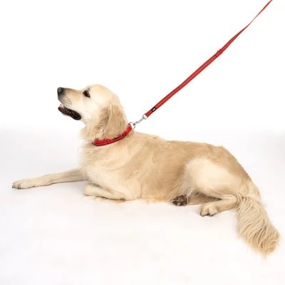 Correa Ajustable TIAKI Reflective Rubber Roja Para Perros 12 Correa Ajustable TIAKI Reflective Rubber Roja Para Perros - Imagen 10