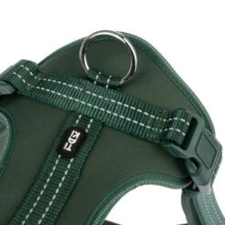 Arnés TIAKI Neoprene Verde Para Perros 27 Arnés TIAKI Neoprene Verde Para Perros -Artículos Mascotas Tienda 323698 neoprene geschirr xl fg 1526 4
