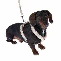 Arnés Nomad Tales Blush Beige Topo Para Perros 39 Arnés Nomad Tales Blush Beige Topo Para Perros -Artículos Mascotas Tienda 323796 325296 blush s fg 6920 9