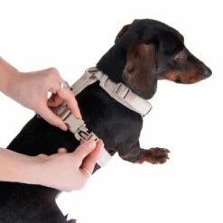 Arnés Nomad Tales Blush Beige Topo Para Perros 37 Arnés Nomad Tales Blush Beige Topo Para Perros -Artículos Mascotas Tienda 323796 blush s fg 6905 5