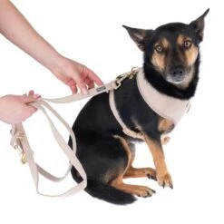 Correa Nomad Tales Calma Arena Para Perros -Artículos Mascotas Tienda 324713 calma fg 7805 1