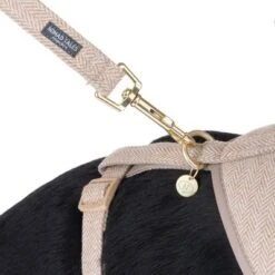 Correa Nomad Tales Calma Arena Para Perros -Artículos Mascotas Tienda 324713 calma fg 7811 0