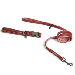 Correa Nomad Tales Blush Vino Para Perros -Artículos Mascotas Tienda 325600 325601 pla nomadtales blush hundeleine rose hs 01 0