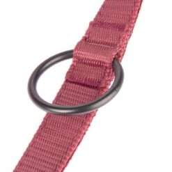 Correa Nomad Tales Blush Vino Para Perros -Artículos Mascotas Tienda 325601 nomad tales blush hundeleine rose fg 1401 7