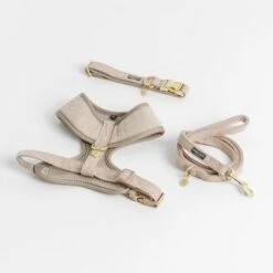 Correa Nomad Tales Calma Arena Para Perros -Artículos Mascotas Tienda 326198 326096 nomad tales calma halsband ebony 01 2