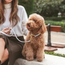 Collar Nomad Tales Calma Piedra Para Perros -Artículos Mascotas Tienda 326806 326197 nomad tales calma halsband stone 03 5