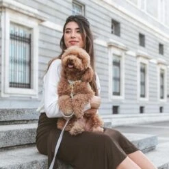 Collar Nomad Tales Calma Piedra Para Perros -Artículos Mascotas Tienda 326806 326197 nomad tales calma halsband stone 05 0