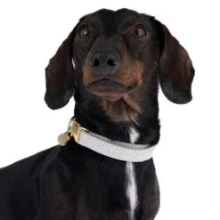 Collar Nomad Tales Calma Piedra Para Perros -Artículos Mascotas Tienda 326807 calma m fg 7321 6