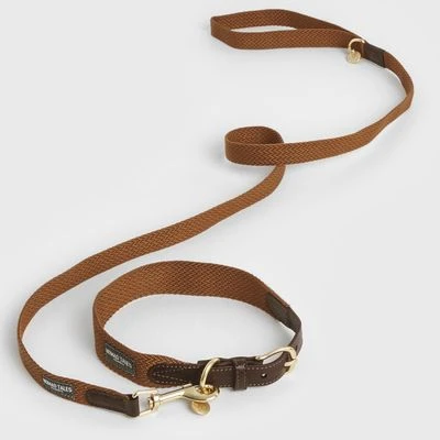Collar Nomad Tales Bloom Caramelo Para Perros - Imagen 6