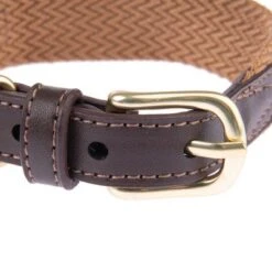 Collar Nomad Tales Bloom Caramelo Para Perros -Artículos Mascotas Tienda 328697 328698 328397 328398 328399 nomad tales bloom halsbaender fg 1447 3