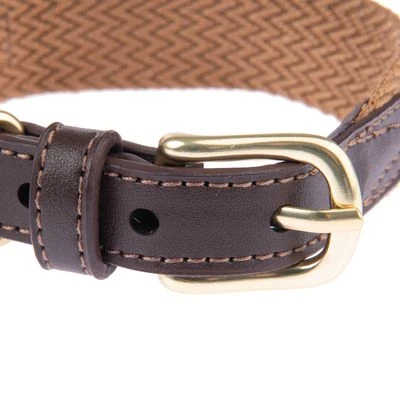 Collar Nomad Tales Bloom Caramelo Para Perros - Imagen 4