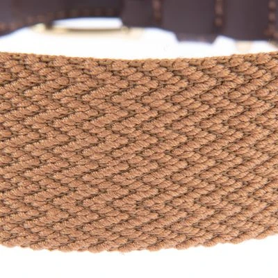 Collar Nomad Tales Bloom Caramelo Para Perros - Imagen 10