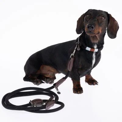 Correa Ajustable Nomad Tales Spirit ébano Para Perros 11 Correa Ajustable Nomad Tales Spirit ébano Para Perros - Imagen 9