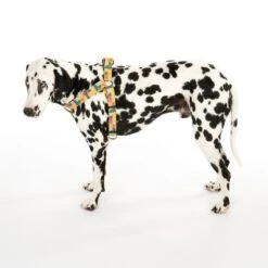 Arnés TIAKI Easy Care Para Perros -Artículos Mascotas Tienda 332204 easy care geschirr l fg 0477 0