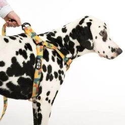 Arnés TIAKI Easy Care Para Perros -Artículos Mascotas Tienda 332204 easy care geschirr l fg 0490 7