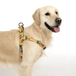 Arnés TIAKI Easy Care Para Perros -Artículos Mascotas Tienda 332204 easy care geschirr l fg 1749 9