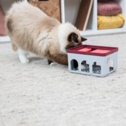 Trixie Cat Activity Rod Box Juego De Inteligencia Para Gatos -Artículos Mascotas Tienda 332214 trixie cat activity rod box hs 09 1