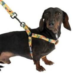 Arnés TIAKI Easy Care Para Perros -Artículos Mascotas Tienda 332296 easy care geschirr xl fg 1462 9