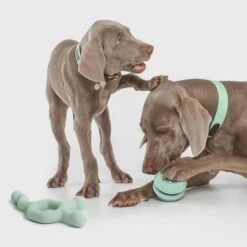 Pelota Portasnacks Nomad Tales Bloom Snack Roller Juguete Para Perros 19 Pelota Portasnacks Nomad Tales Bloom Snack Roller Juguete Para Perros -Artículos Mascotas Tienda 333015 nomad tales snack ball 01 4