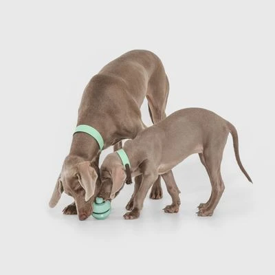 Pelota Portasnacks Nomad Tales Bloom Snack Roller Juguete Para Perros 5 Pelota Portasnacks Nomad Tales Bloom Snack Roller Juguete Para Perros - Imagen 3