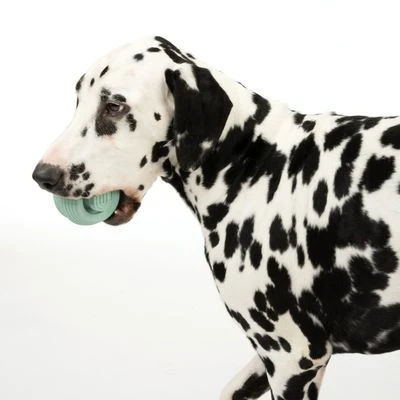 Pelota Portasnacks Nomad Tales Bloom Snack Roller Juguete Para Perros 7 Pelota Portasnacks Nomad Tales Bloom Snack Roller Juguete Para Perros - Imagen 5