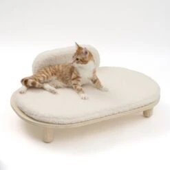 Sofá Osaka Modern Living Para Mascotas -Artículos Mascotas Tienda 342803 modern living osaka katze 0629 4