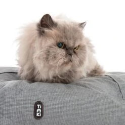 TIAKI Cojín De Peluche Abbey Para Mascotas -Artículos Mascotas Tienda 343496 kuschelkissen abbey cat fg 8494 0