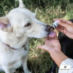 PAWS & PATCH Complemento Para La Ansiedad 7 PAWS & PATCH Complemento Para La Ansiedad -Artículos Mascotas Tienda 347097 paws patch angst unsicherheit hs 02 8