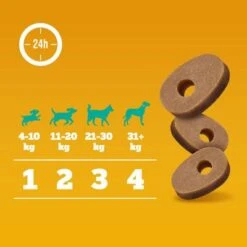 Pedigree Multivitaminas Para El Sistema Inmunitario -Artículos Mascotas Tienda 372107 pedigree multivitamins immunsystem hs 07 6