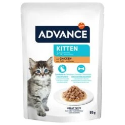 Advance Kitten Con Pollo Comida Húmeda Para Gatos -Artículos Mascotas Tienda 374500 advance kitten huhn 12x85g hs 04 6