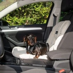 Asiento Para El Coche Nomad Tales Blush Para Perros, Beige -Artículos Mascotas Tienda 376802 nt dog car seat fg 4824 8