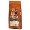 Ultima Golden & Labrador Retriever Pollo -Artículos Mascotas Tienda 384444 pla affinity ultima hund golden labradorretriever huhn 14kg hs 01 8