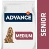 Advance Medium Senior Con Pollo Y Arroz 1 Advance Medium Senior Con Pollo Y Arroz -Artículos Mascotas Tienda 397699 mhi advance puppy sensitive lachs 3kg hs 01 6