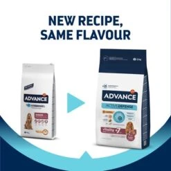 Advance Medium Senior Con Pollo Y Arroz -Artículos Mascotas Tienda 397796 affinity advance medium senior hs 01 8