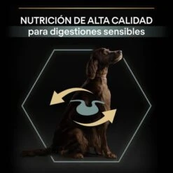 PURINA PRO PLAN Large Adult Athletic Sensitive Digestion Cordero Y Arroz -Artículos Mascotas Tienda 44142537 es es 221230 1 3 2