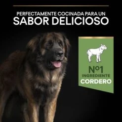 Purina Pro Plan Large Robust Adult Sensitive Digestion Cordero Y Arroz -Artículos Mascotas Tienda 44142626 es es 221230 1 8