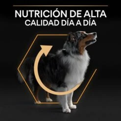 PURINA PRO PLAN Medium Adult Everyday Nutrition 16 PURINA PRO PLAN Medium Adult Everyday Nutrition -Artículos Mascotas Tienda 44142699 es es 221230 1 3 9