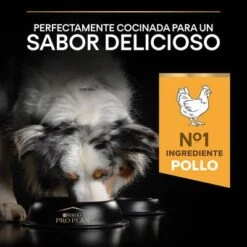 PURINA PRO PLAN Medium Adult Everyday Nutrition 18 PURINA PRO PLAN Medium Adult Everyday Nutrition -Artículos Mascotas Tienda 44142699 es es 221230 1 5