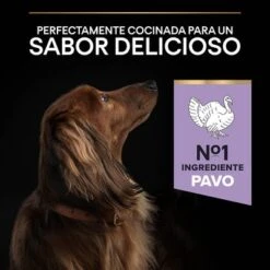 PURINA PRO PLAN Small & Mini Adult Sensitive Digestion Sin Cereales -Artículos Mascotas Tienda 44157647 es es 221230 1 5