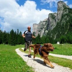 Arnés De Canicross NEEWA Running Rojo Para Perros -Artículos Mascotas Tienda 505648 hs neewa running harness rot im einsatz 4