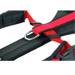 Arnés De Canicross NEEWA Running Rojo Para Perros -Artículos Mascotas Tienda 505648 hs neewa running harness rot ring 0