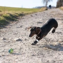 Zapatos Para Perros S & P Boots -Artículos Mascotas Tienda 52149 hundeschuhe xs fg 0967 9