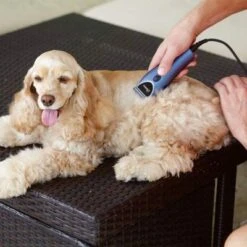 Set Máquina Cortapelo Para Mascotas Oster 220 V -Artículos Mascotas Tienda 53731 osterheimtierschermaschinen hs 12 3