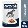 Advance Recovery Veterinary Diets Comida Húmeda Para Perros Y Gatos 1 Advance Recovery Veterinary Diets Comida Húmeda Para Perros Y Gatos -Artículos Mascotas Tienda 5bde1494 c406 4785 ab24 d2a3795edfd7 1 6