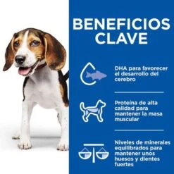 Hill's Science Plan Hill’s Puppy Medium & Large Healthy Cuisine Con Pollo Para Perros 23 Hill's Science Plan Hill’s Puppy Medium & Large Healthy Cuisine Con Pollo Para Perros -Artículos Mascotas Tienda 606601 9 4
