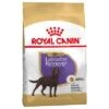 Royal Canin Sterilised Labrador Retriever Adult -Artículos Mascotas Tienda 61153 pla royalcanin adulthund labradotsterilised 6