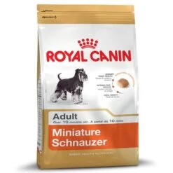 Royal Canin Schnauzer Miniatura Adult -Artículos Mascotas Tienda 61156 PLA rgb Royal Canin Miniature Schnauzer 6