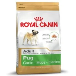 Royal Canin Carlino Adult -Artículos Mascotas Tienda 61161 PLA rgb Royal Canin Breed Mops Adult 3kg 6